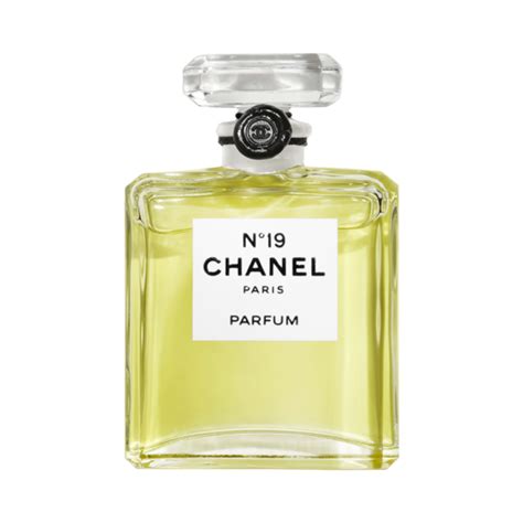 chanel nr19|chanel no 19 review.